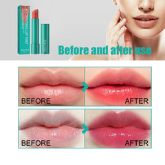 Moisturizing Plumping Tinted Lip Gloss