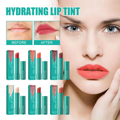 Moisturizing Plumping Tinted Lip Gloss